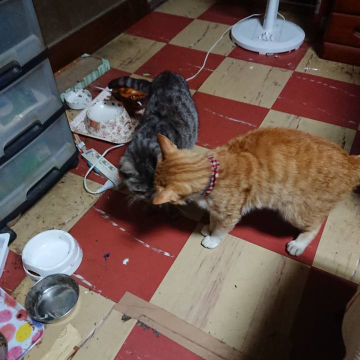 1931483b 31da 4e4a ad90 355ff6e518b4 1560158440619