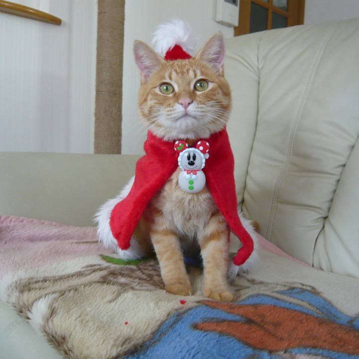 1931494e cbb5 4f89 9da5 1322d825246e 1513930143187