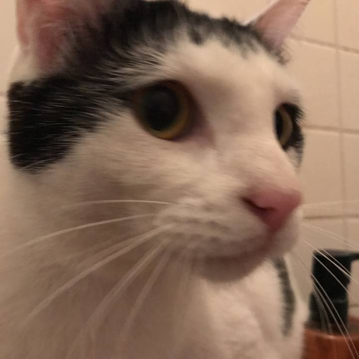 193161cd 2c3f 4fd4 a718 810c2f53e8b1 1524316827335