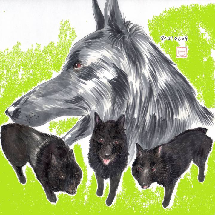 1931a0e5 8349 4c13 957d 22bb3806bdb4 1623230246451