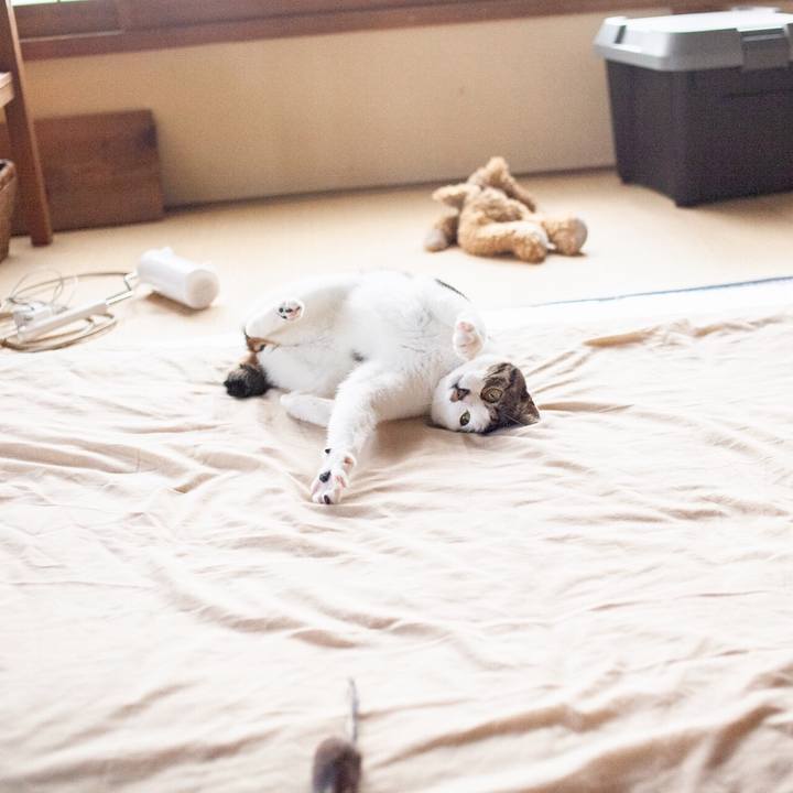 1931a79c 1701 463e 96c0 0d086aa0e4f4 1560046862606