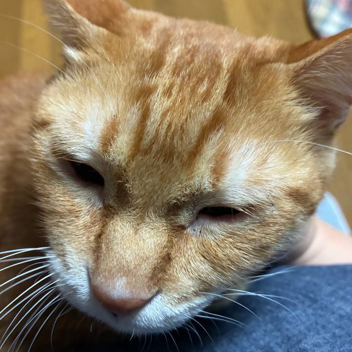 1931cdbe d8df 4ffe 9408 cc146de938f3 1761048809348