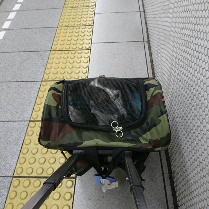 1931e777 9697 441d b090 a60bf2df10fe 1521866534697