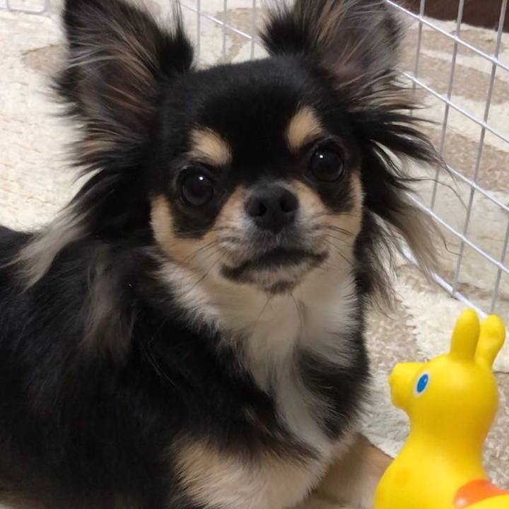 1931f1c4 8a0d 4da9 82f4 3acd99c72a40 1558224710967