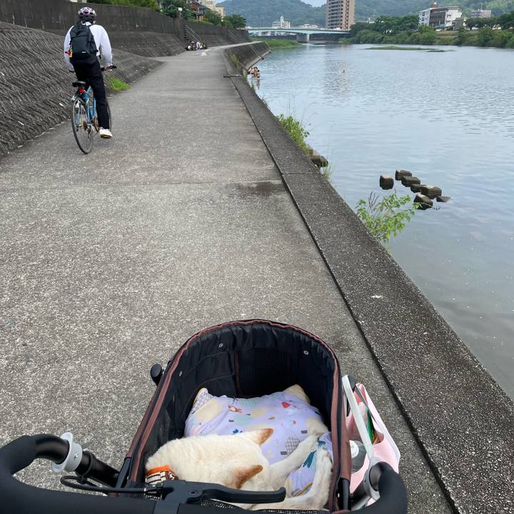 19320d3f 892d 450d a1d2 507dfea49f22 1655971499276