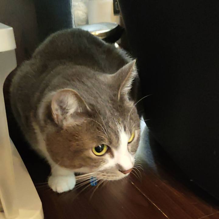 19320d5f bc92 468b 8fc2 9e043b68f5c7 1678311250719