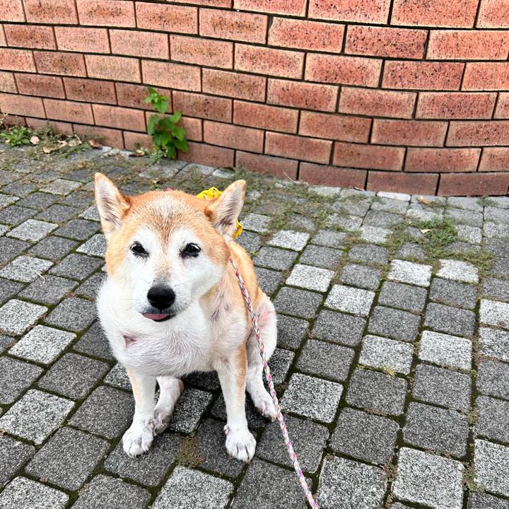 19321b7e 5a1d 446f bb79 4942d9f3e193 1758590372144