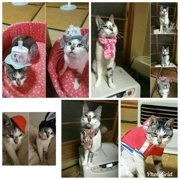 19325eb2 96bf 4b91 832c 90cd24e68819 1528814768936