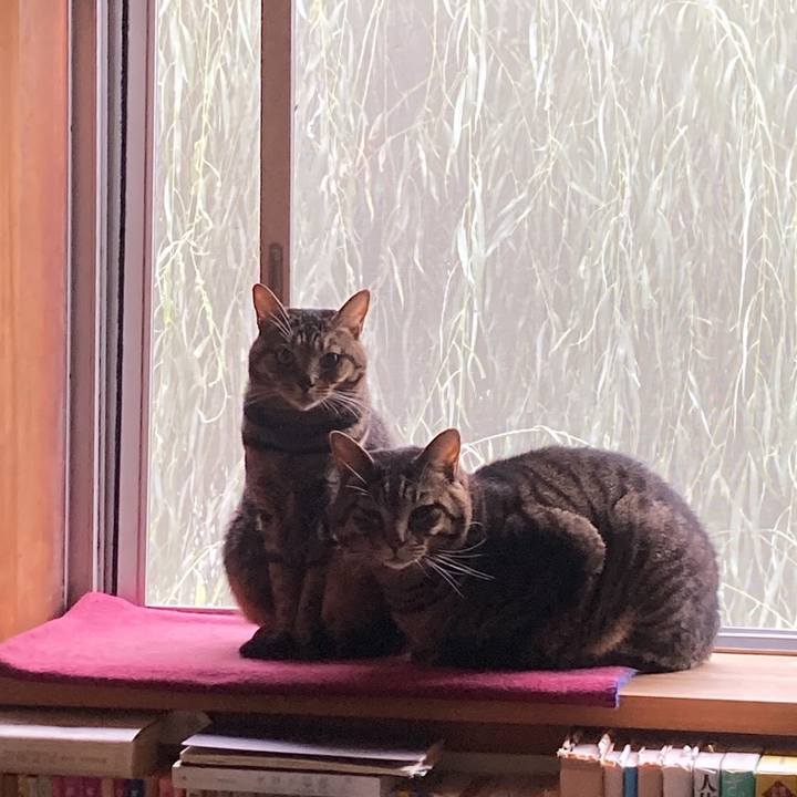 1932c4e5 9c27 405b 95a5 9d0cd4fb6e7c 1761357450425