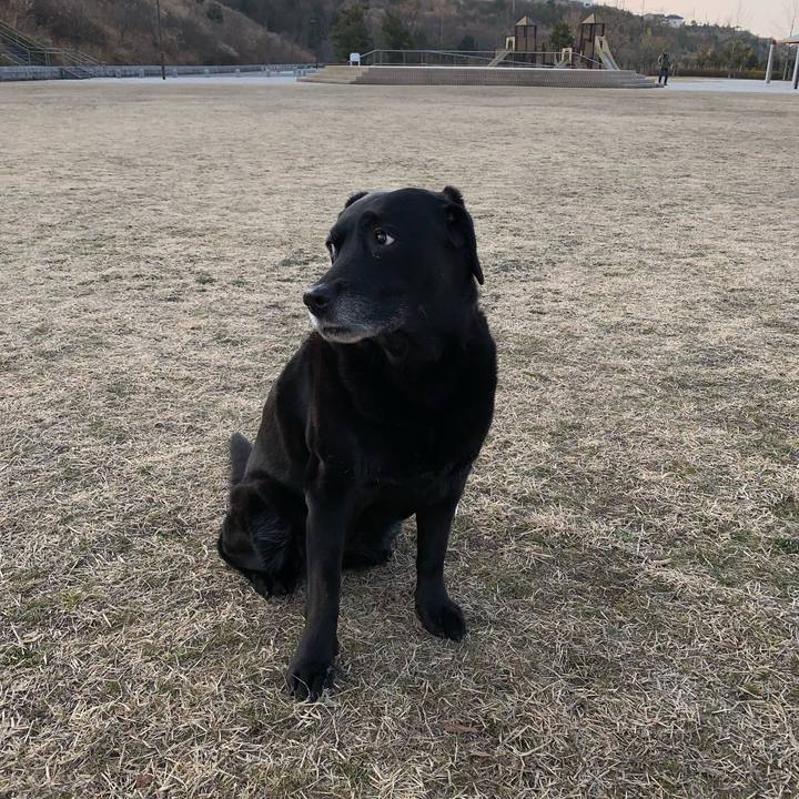 1932ea25 5b2c 4064 b49e b21a539741ec 1550365410798