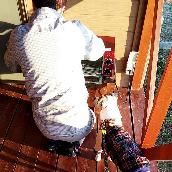 1933778e c809 4291 a473 b0db3f658a52 1546308206285