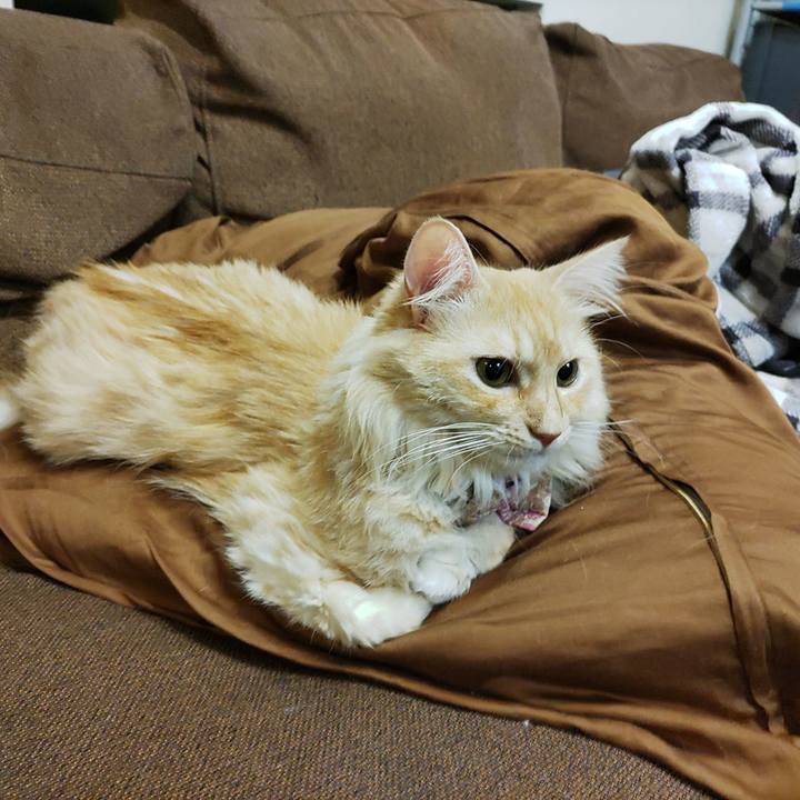 19338140 d98e 434d b111 2797582ddbb9 1694179060818