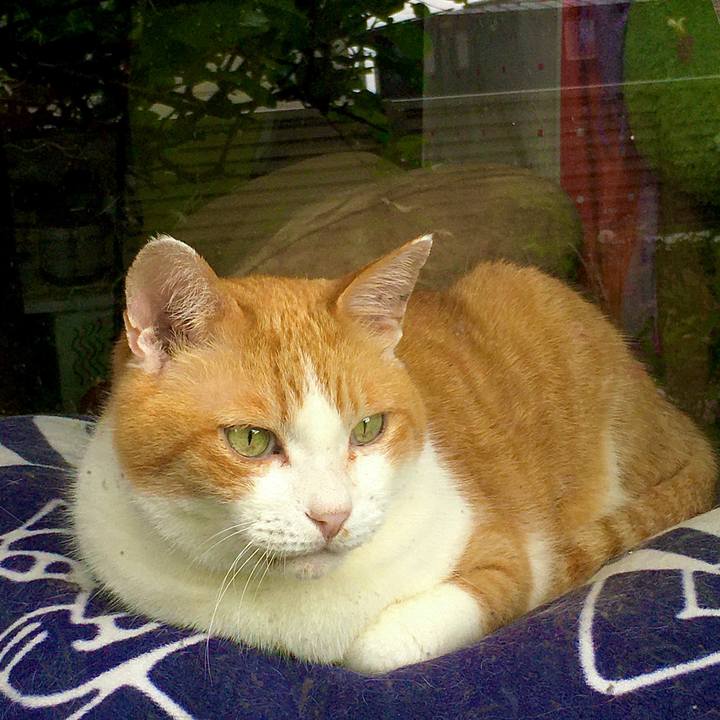 19339b29 1816 4f01 ae86 45fc5181f333 1589784769299