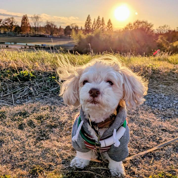 1933a73c 1091 4a14 8790 affebaadc3ee 1764858346041