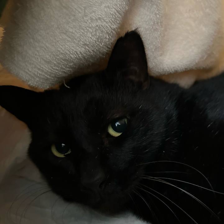 1933b160 38f5 4ab5 84cf 66e7fe464181 1742356067753