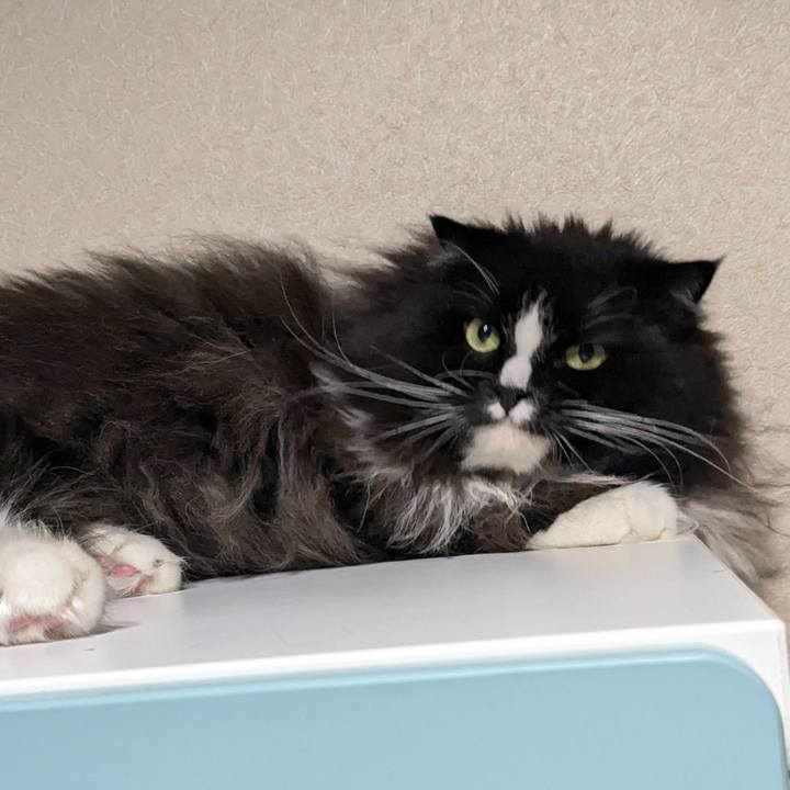 1933d054 5c97 4082 9937 abcefdab8d3a 1730589117695