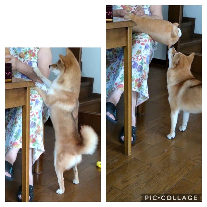 1933fc00 d0a5 4b80 9554 3cce05e6a2cf 1660181209976