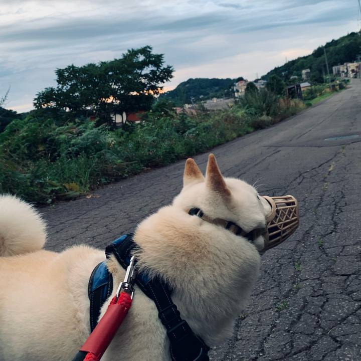 1934016a 7e21 4bc8 8d2a 78125de37de2 1660942185241