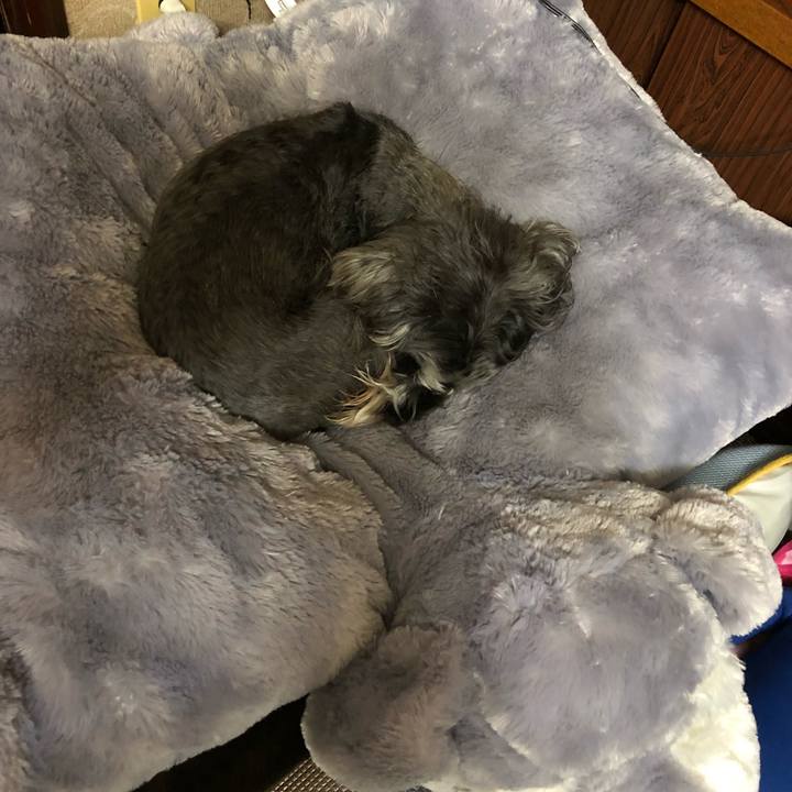 19340e79 b83a 448a a2c2 58bd08e3239c 1553922621500