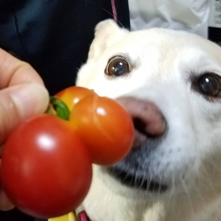 193422aa be9a 4c18 af21 d900ddaa6ca4 1566036748599