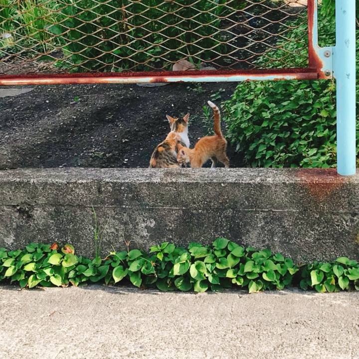 19349a0f e763 4e50 83eb 96b9f350afa1 1534485215752