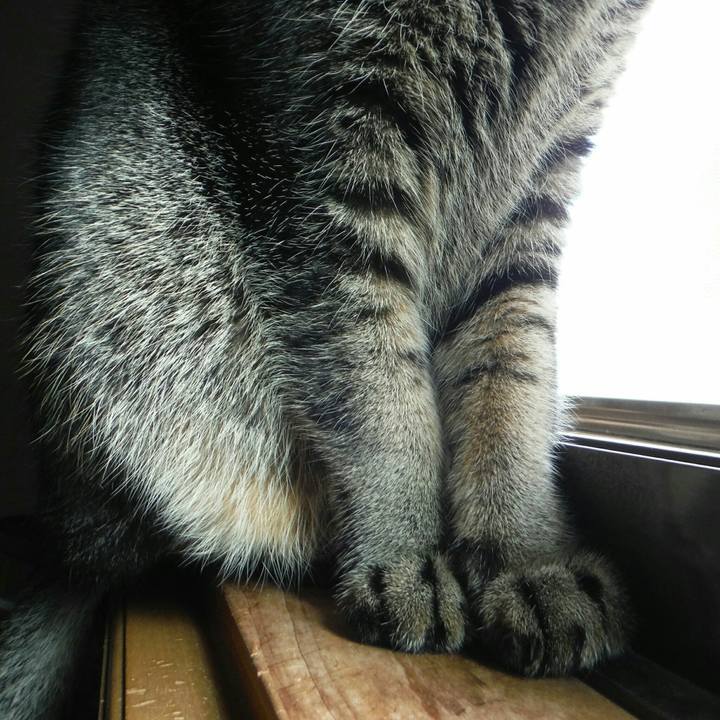 1934aff0 ffd9 4f9e b082 ce9a86fa6d84 1516338430121