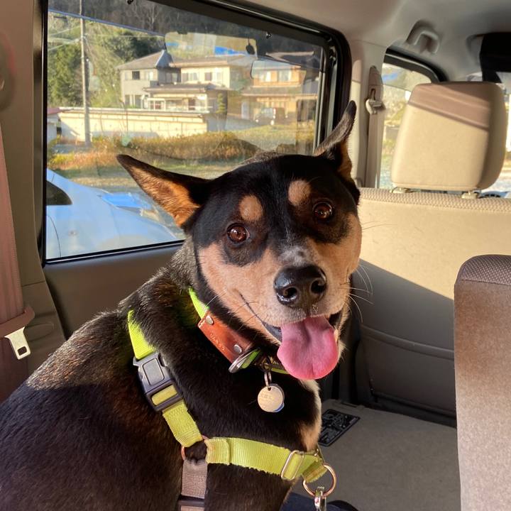 1935366f b1bb 4a5f 814e c2a041dc2e00 1640260510468