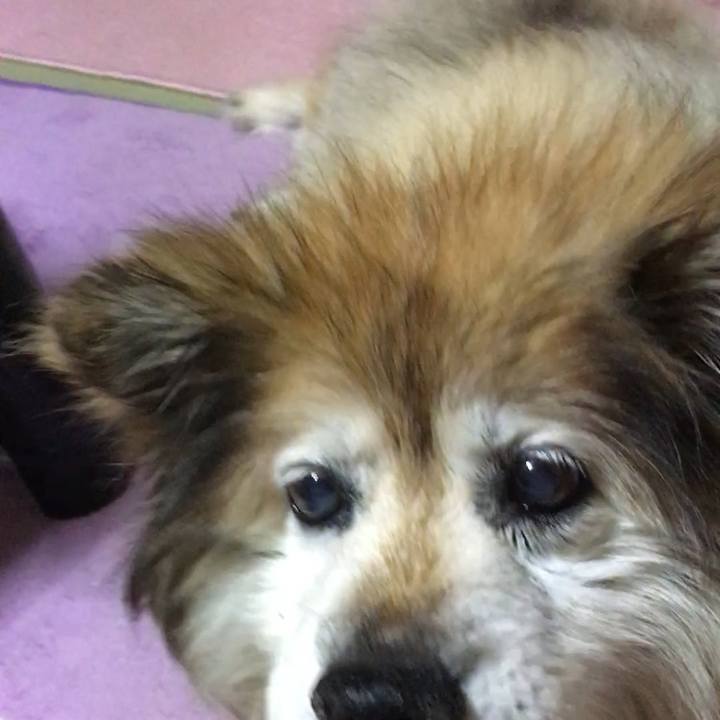 193542e4 6f4d 48ae 801d e5b130d61aa8 1589779621498