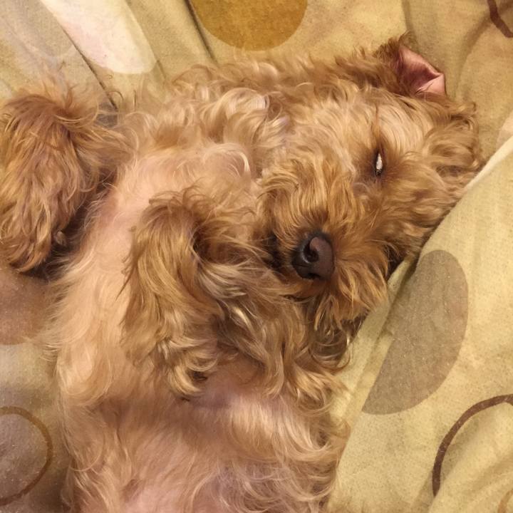 193551e7 f159 4afb bdfd 26fe833fce04 1515851232210