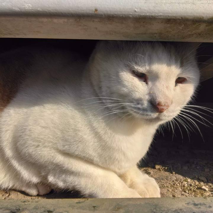 1935692a d44a 4b77 809c 65284150766b 1668139841633