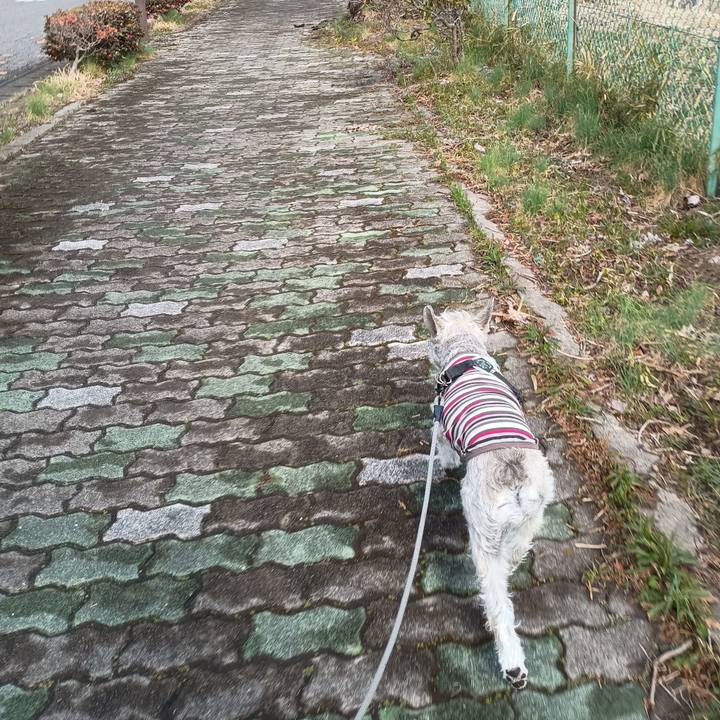 19356a6c 6ea0 44f4 bac2 d71095e7adf0 1772614885521