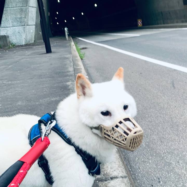 1935af2f 9d4b 45fd 88dc b1d426bcfc76 1660507991064