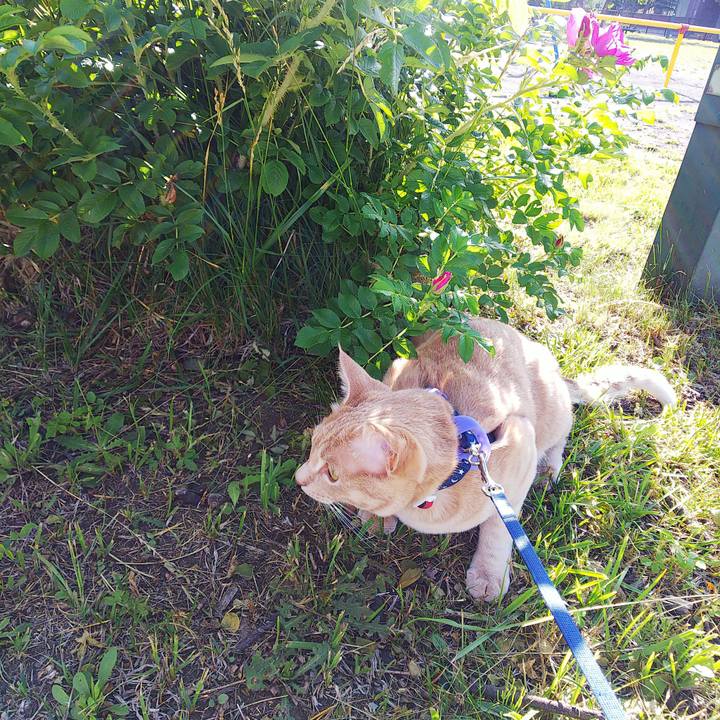 1935ff3e cf10 4c1e 941c 1df5eb422e4b 1562020908721