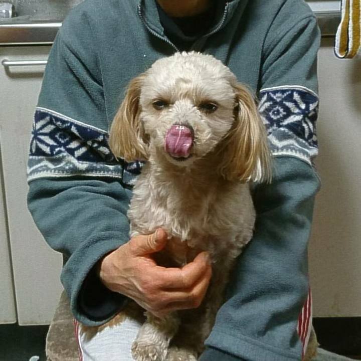 193618f9 3084 4de5 8781 8eba0264286f 1518437104954