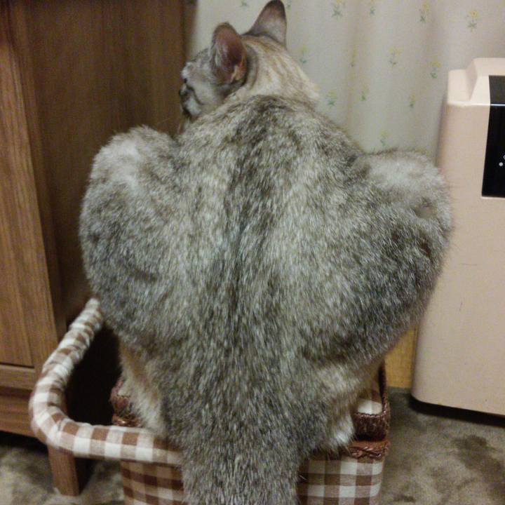 193637ed 57f8 48d3 b834 af3898a7618d 1522151622191