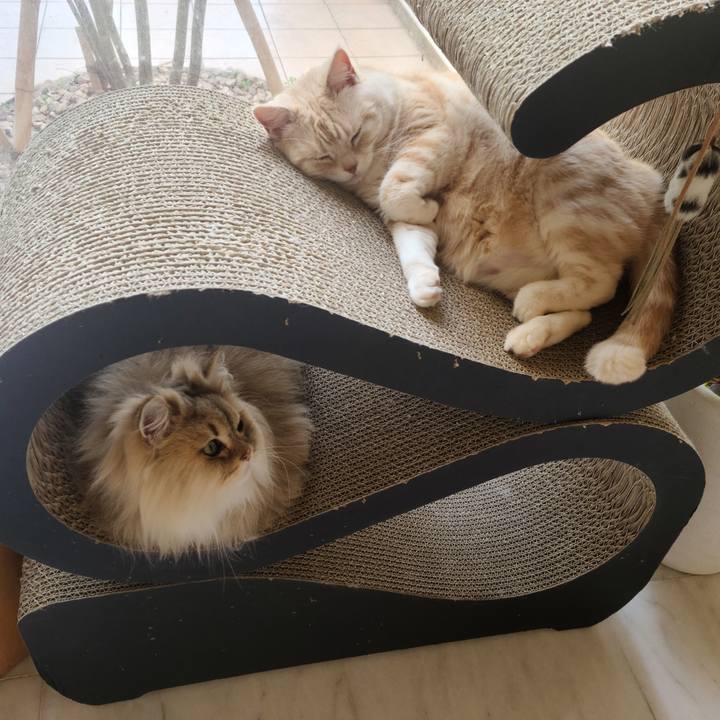 193659a9 6f8a 4c63 ae9c 94561537f05c 1678347522236