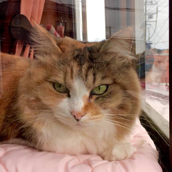 19368c68 2bf9 4ffb 8910 6d501c380e20 1588756051929