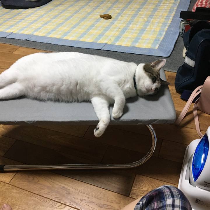 19369674 2743 4f18 ab9d f46e0742d38c 1537104771493