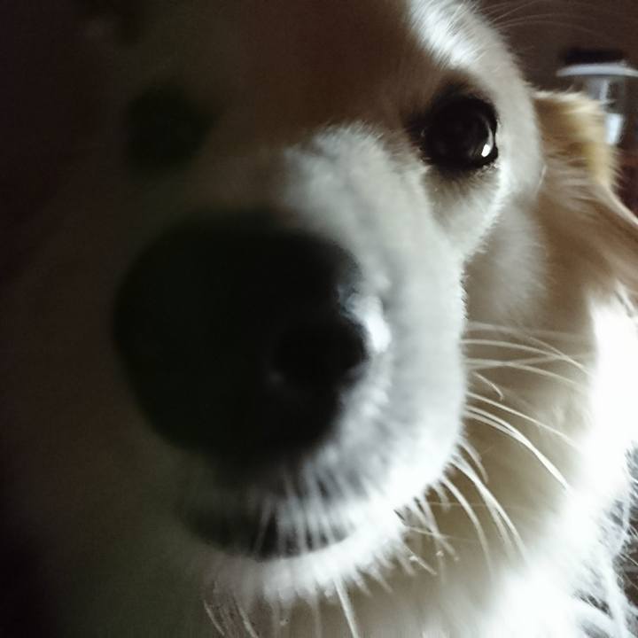 1936b260 7d6b 426f 80fc 111422dc49b6 1512852459162