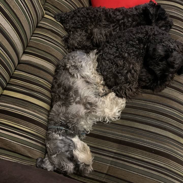 1936b884 5720 49d9 b9f5 e731f989026c 1590072912940