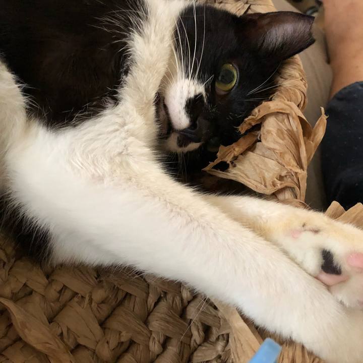 193701ad fcfb 47ef bbf6 37c8b4e6ac90 1531707663803