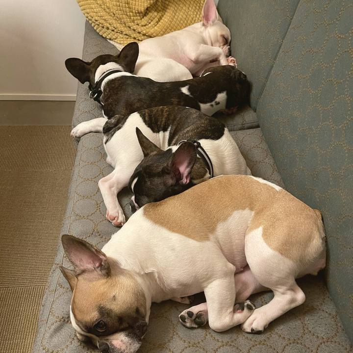 19370c54 30ae 4251 b440 bb61c940d723 1607334004939