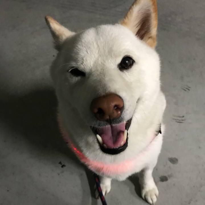 19375d84 de29 4ebf af64 4d6daf28a803 1528195882933