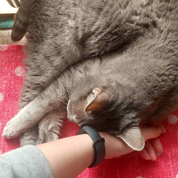 19378bf6 1369 40ab 8d1b 51c960f030de 1679185853520