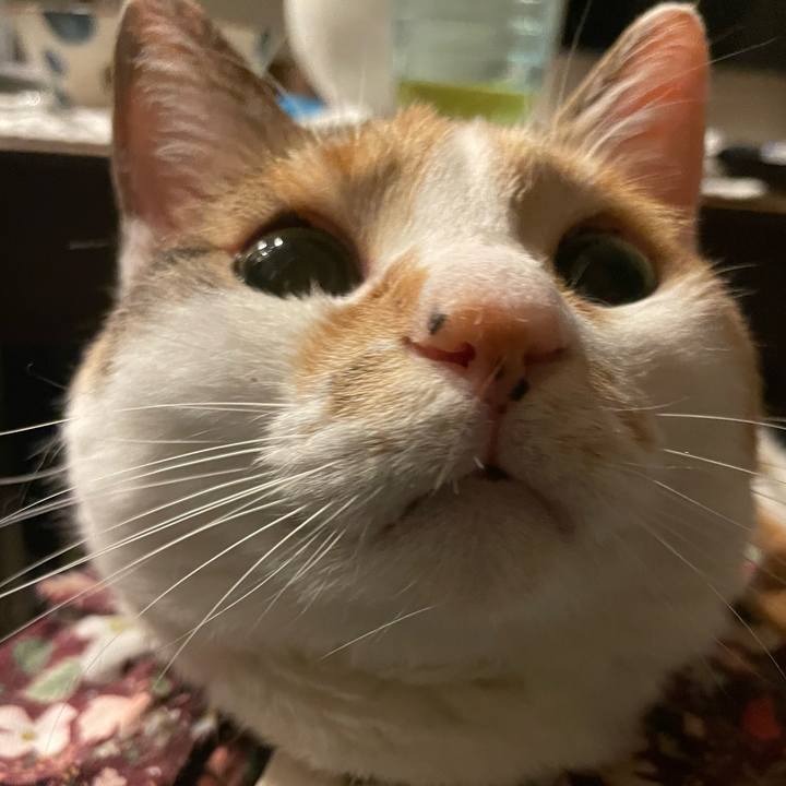 19378ecf eb37 4997 a904 c6b796b22964 1747836659248