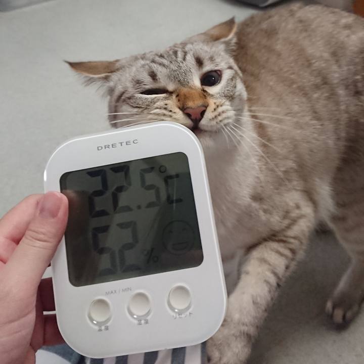 19379ba3 6e6a 4dc6 beb7 16efa22c8b58 1571056695422