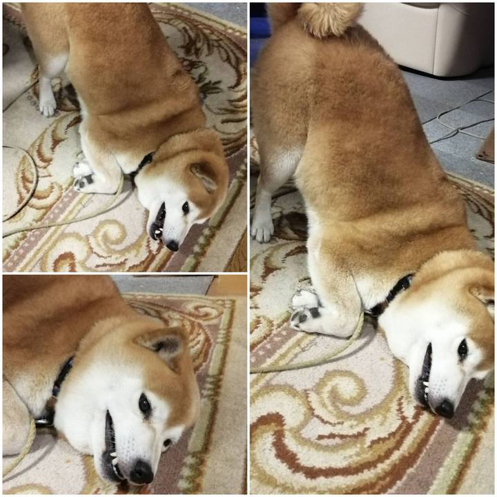 1938875d f827 482b 8648 519d8c1b5508 1588503097308