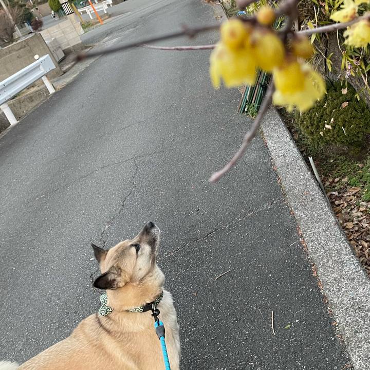 1938cadc b016 4b65 b513 ae4facab7359 1674211827075