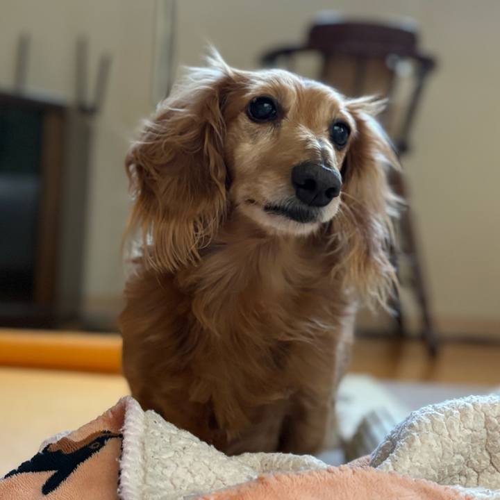 1938e5cf 9920 44fa a032 c5044a33b0c9 1722414009091