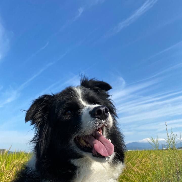 1939224f 8585 49a9 850e 9308d4101d28 1632529553298